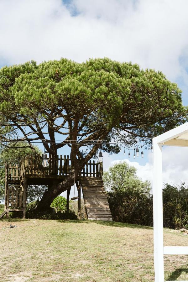 Dreamsea Surf Guest House Sintra Exterior photo